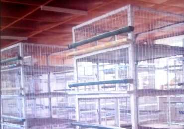 Construction of Live Bird Market